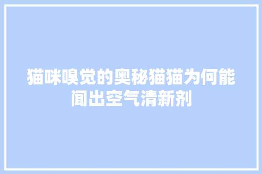 猫咪嗅觉的奥秘猫猫为何能闻出空气清新剂