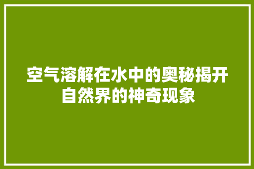 空气溶解在水中的奥秘揭开自然界的神奇现象