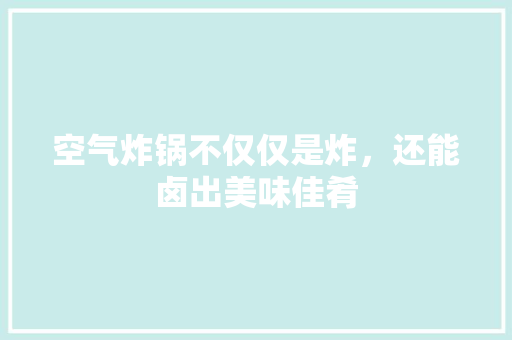 空气炸锅不仅仅是炸，还能卤出美味佳肴