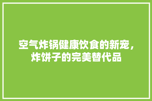 空气炸锅健康饮食的新宠，炸饼子的完美替代品