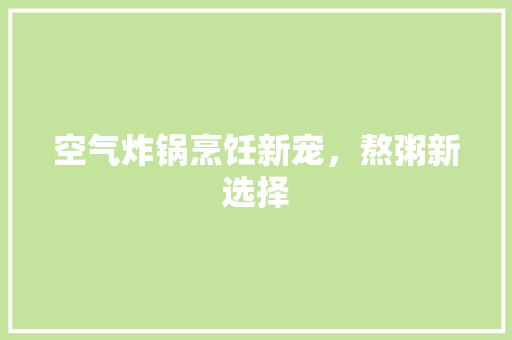 空气炸锅烹饪新宠，熬粥新选择 厨房维修