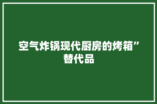 空气炸锅现代厨房的烤箱”替代品 综合便民