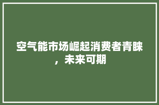 空气能市场崛起消费者青睐，未来可期