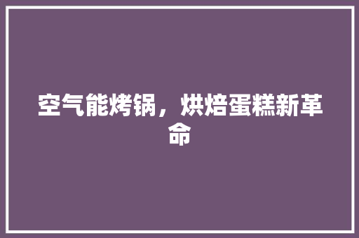 空气能烤锅，烘焙蛋糕新革命