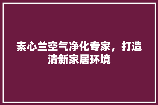 素心兰空气净化专家，打造清新家居环境