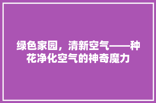绿色家园，清新空气——种花净化空气的神奇魔力 综合便民