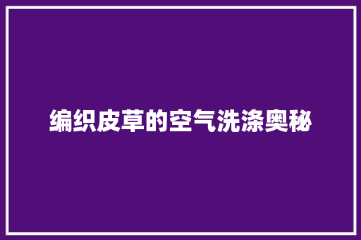 编织皮草的空气洗涤奥秘 厨房维修