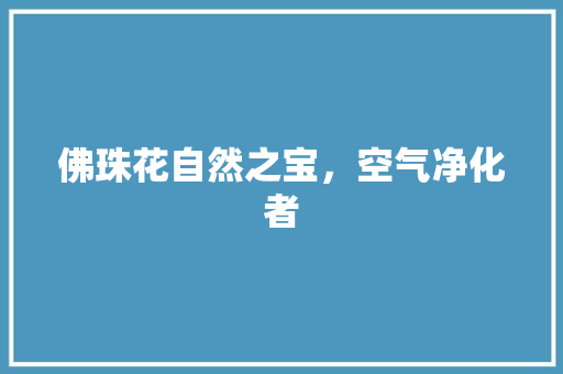 佛珠花自然之宝，空气净化者 墙体维修