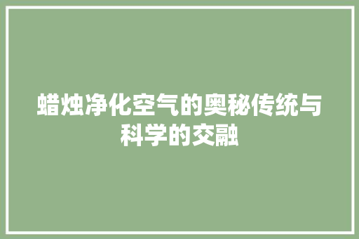 蜡烛净化空气的奥秘传统与科学的交融