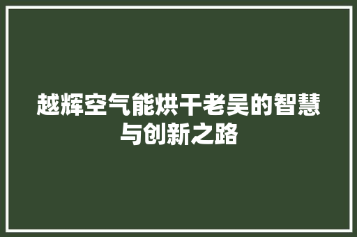 越辉空气能烘干老吴的智慧与创新之路