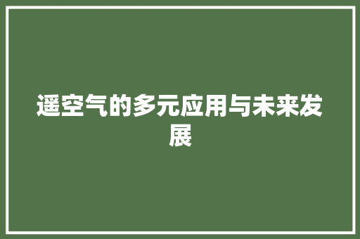 遥空气的多元应用与未来发展