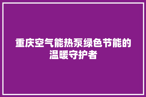 重庆空气能热泵绿色节能的温暖守护者 家电维修
