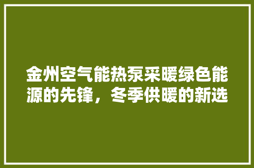 金州空气能热泵采暖绿色能源的先锋，冬季供暖的新选择 厨房维修