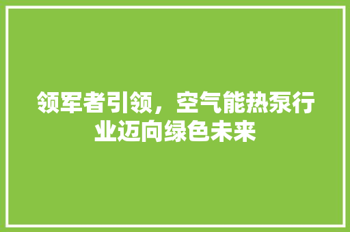 领军者引领，空气能热泵行业迈向绿色未来 墙体维修