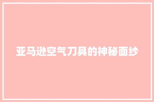 亚马逊空气刀具的神秘面纱 厨房维修