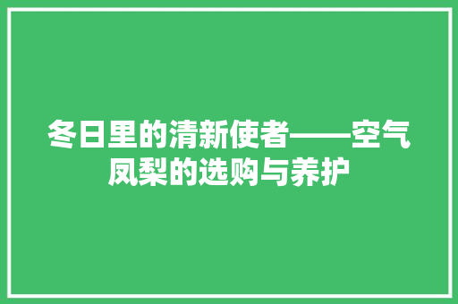 冬日里的清新使者——空气凤梨的选购与养护
