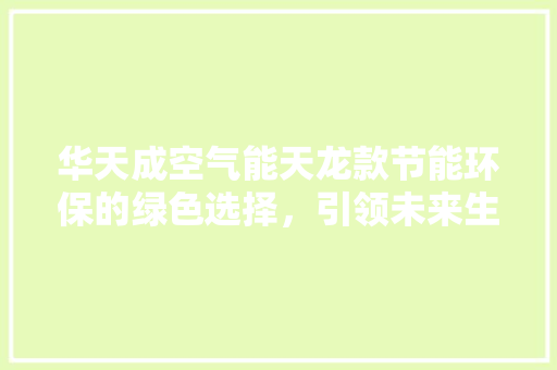 华天成空气能天龙款节能环保的绿色选择，引领未来生活新风尚