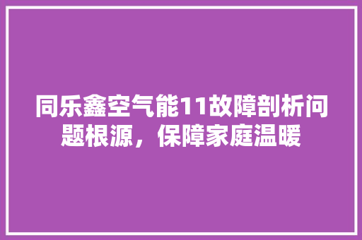 同乐鑫空气能11故障剖析问题根源，保障家庭温暖