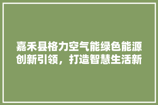 嘉禾县格力空气能绿色能源创新引领，打造智慧生活新篇章
