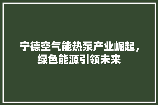 宁德空气能热泵产业崛起，绿色能源引领未来