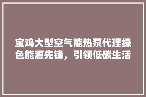 宝鸡大型空气能热泵代理绿色能源先锋，引领低碳生活新风尚