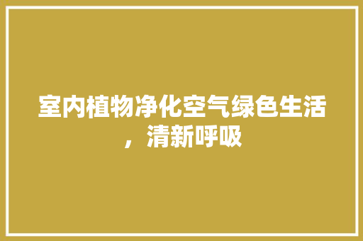 室内植物净化空气绿色生活，清新呼吸