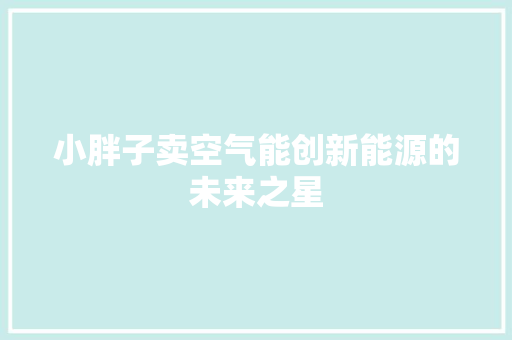 小胖子卖空气能创新能源的未来之星 墙体维修