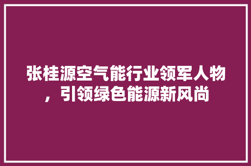 张桂源空气能行业领军人物，引领绿色能源新风尚