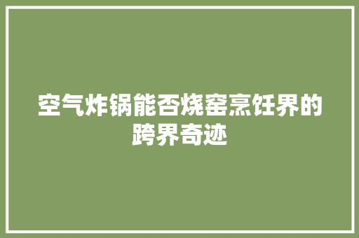 空气炸锅能否烧窑烹饪界的跨界奇迹