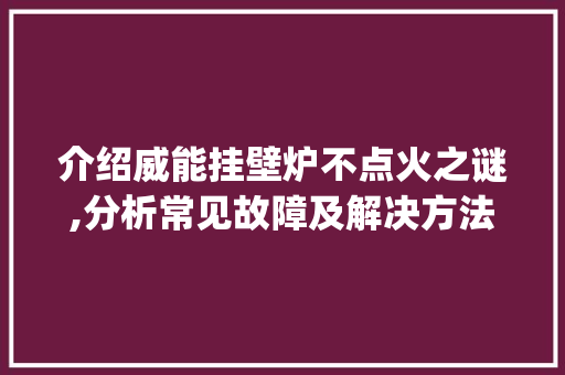 介绍威能挂壁炉不点火之谜,分析常见故障及解决方法_威能挂壁炉经常不点火 介绍威能挂壁炉不点火之谜,分析常见故障及解决方法_威能挂壁炉经常不点火 厨房维修