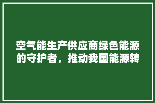 空气能生产供应商绿色能源的守护者，推动我国能源转型