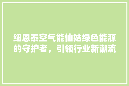 纽恩泰空气能仙姑绿色能源的守护者，引领行业新潮流