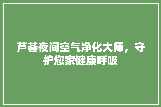 芦荟夜间空气净化大师，守护您家健康呼吸 综合便民