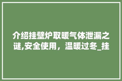 介绍挂壁炉取暖气体泄漏之谜,安全使用，温暖过冬_挂壁炉取暖一直有气体 介绍挂壁炉取暖气体泄漏之谜,安全使用，温暖过冬_挂壁炉取暖一直有气体 厨房维修