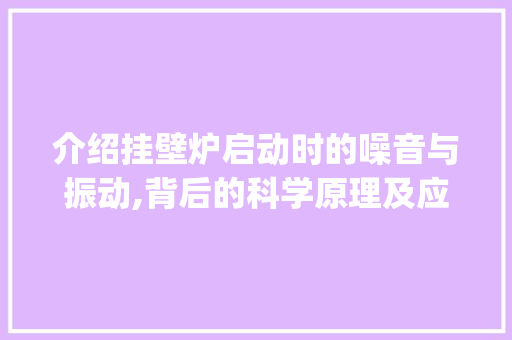 介绍挂壁炉启动时的噪音与振动,背后的科学原理及应对步骤_挂壁炉启动时噪音振动 介绍挂壁炉启动时的噪音与振动,背后的科学原理及应对步骤_挂壁炉启动时噪音振动 厨房维修
