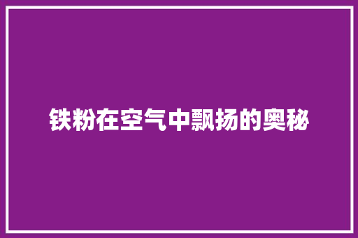 铁粉在空气中飘扬的奥秘 家电维修