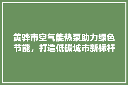 黄骅市空气能热泵助力绿色节能，打造低碳城市新标杆