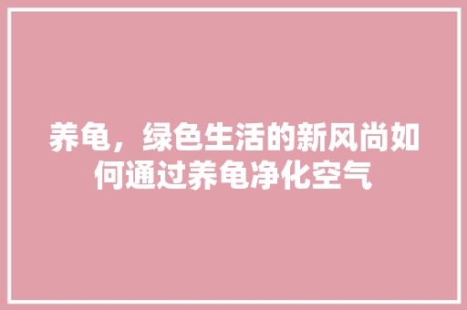 养龟，绿色生活的新风尚如何通过养龟净化空气