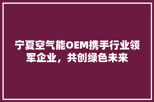 宁夏空气能OEM携手行业领军企业，共创绿色未来 厨房维修