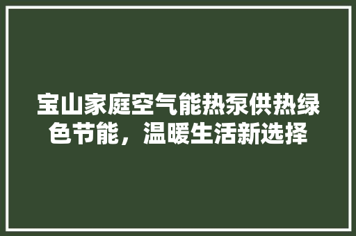 宝山家庭空气能热泵供热绿色节能，温暖生活新选择