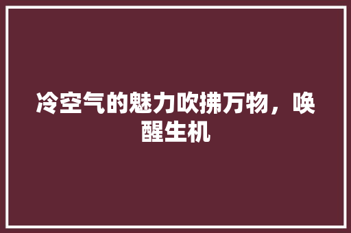 冷空气的魅力吹拂万物，唤醒生机 墙体维修