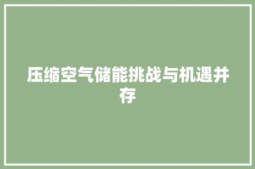 压缩空气储能挑战与机遇并存
