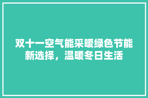 双十一空气能采暖绿色节能新选择，温暖冬日生活