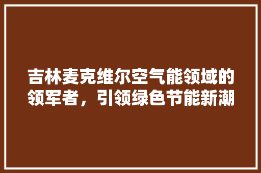 吉林麦克维尔空气能领域的领军者，引领绿色节能新潮流