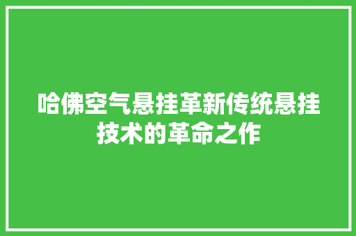 哈佛空气悬挂革新传统悬挂技术的革命之作 家电维修