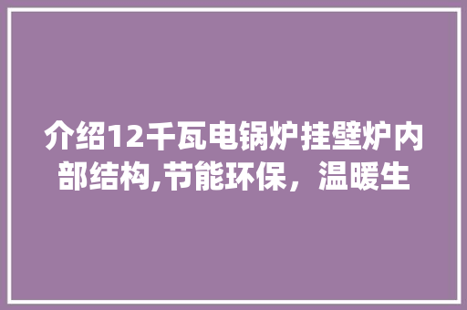 介绍12千瓦电锅炉挂壁炉内部结构,节能环保，温暖生活新篇章_12千瓦电锅炉挂壁炉内部结构 介绍12千瓦电锅炉挂壁炉内部结构,节能环保，温暖生活新篇章_12千瓦电锅炉挂壁炉内部结构 综合便民