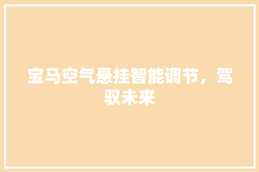 宝马空气悬挂智能调节，驾驭未来