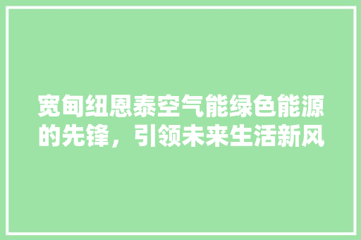 宽甸纽恩泰空气能绿色能源的先锋，引领未来生活新风尚 墙体维修
