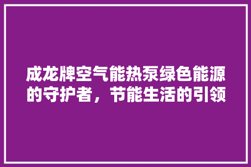 成龙牌空气能热泵绿色能源的守护者，节能生活的引领者 家电维修