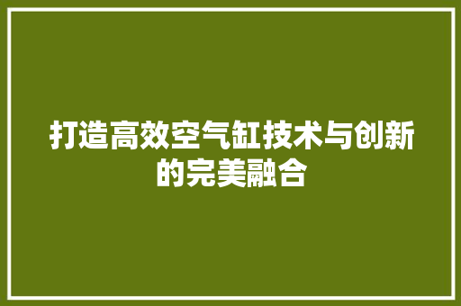 打造高效空气缸技术与创新的完美融合 厨房维修